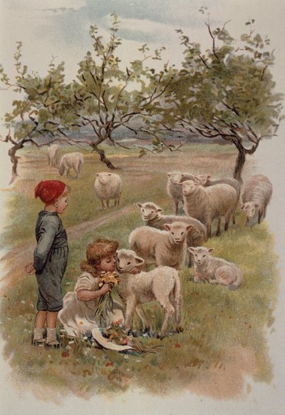 Children with Lambs among the daisies by English School